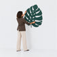 Monstera Leaf