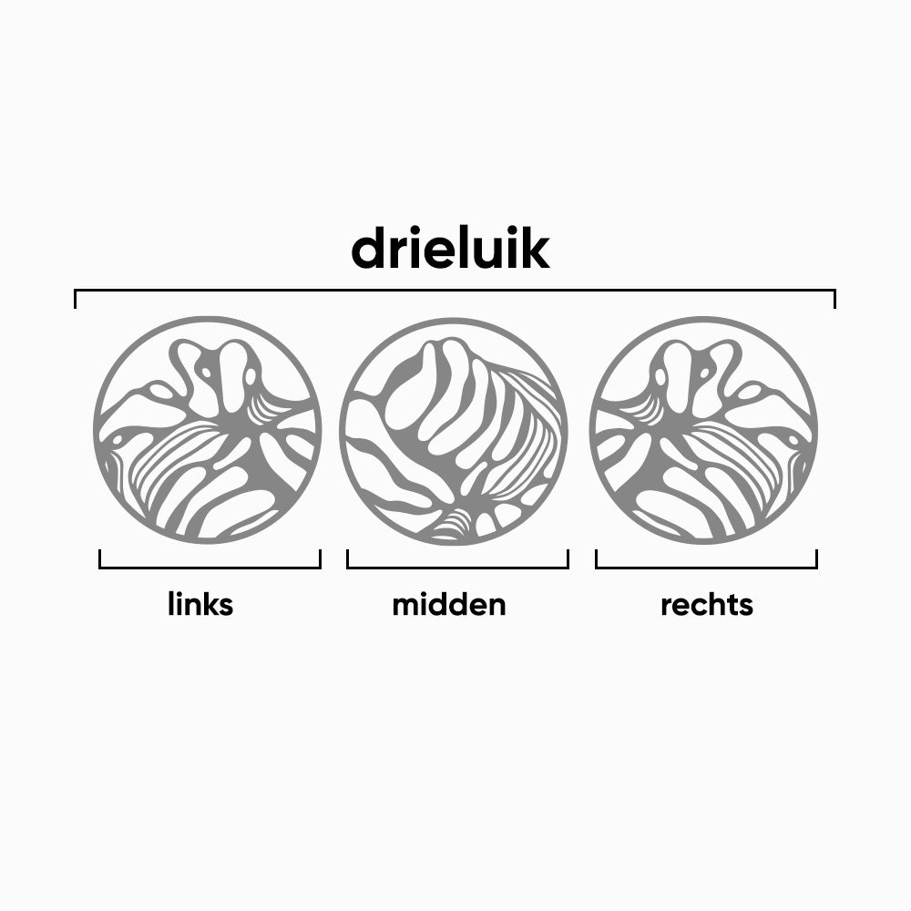 Organic Circles Drieluik