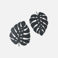 Monstera Duo