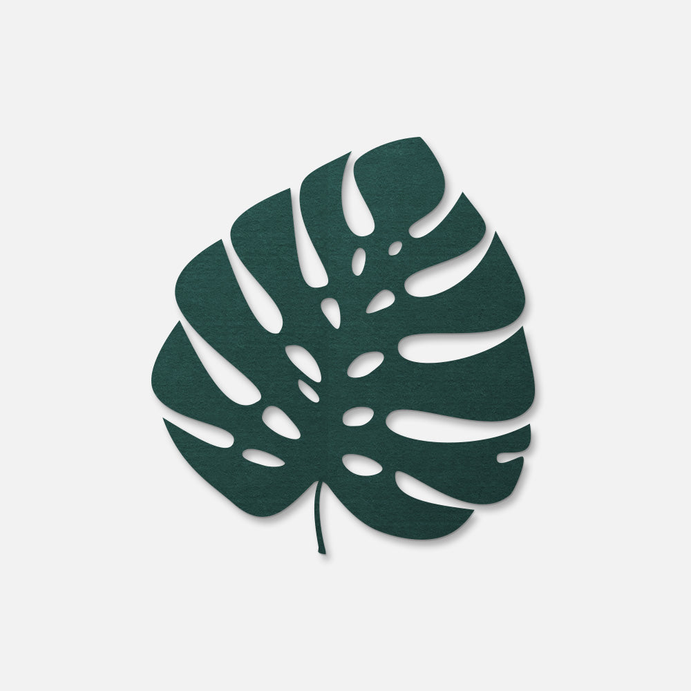 Monstera Leaf