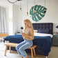 Monstera Leaf